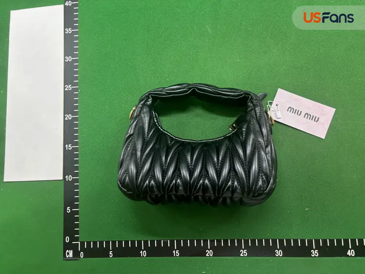 Miu Miu Bag QC photo 5