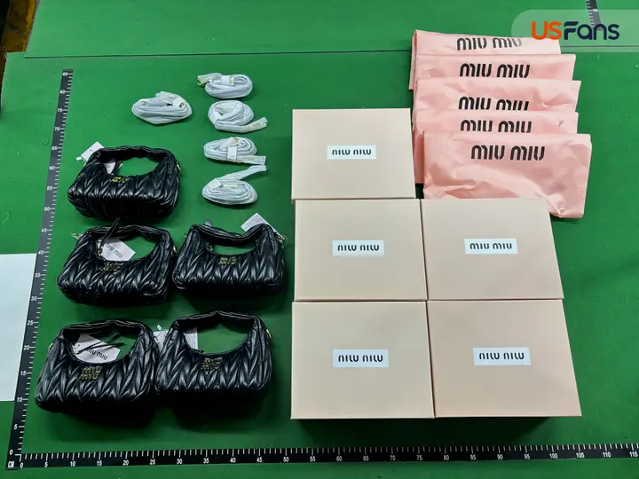Miu Miu Bag QC photo 6