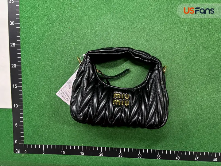 Miu Miu Bag QC photo 7