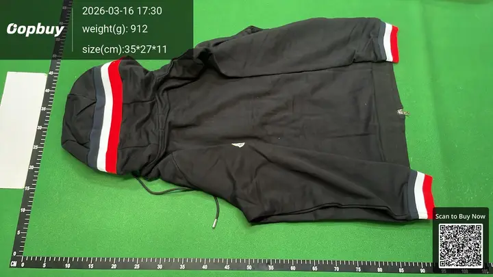 Moncler Hoodie QC photo 15