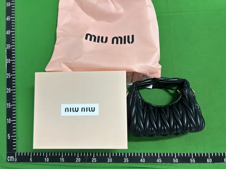 Miu Miu Bag QC photo 1