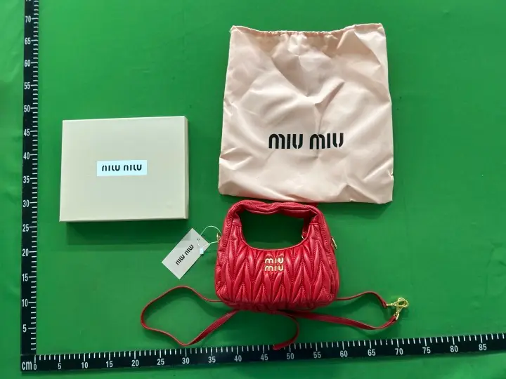 Miu Miu Bag QC photo 10