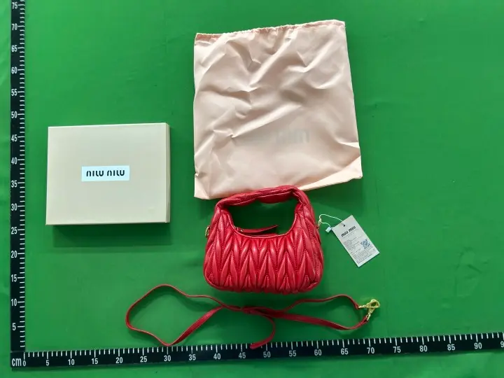 Miu Miu Bag QC photo 11