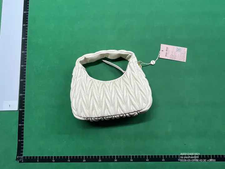 Miu Miu Bag QC photo 13