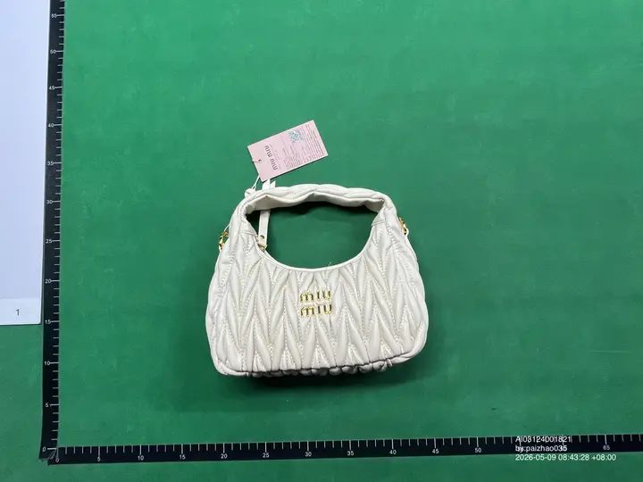 Miu Miu Bag QC photo 14
