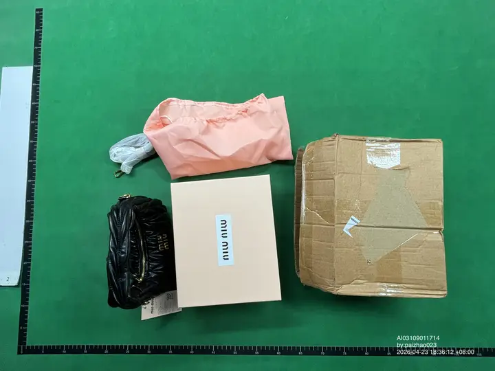 Miu Miu Bag QC photo 15