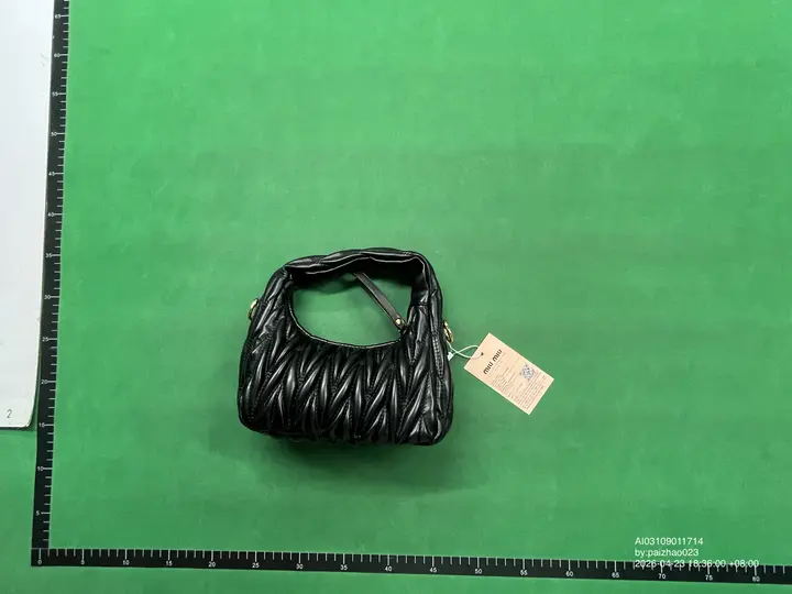 Miu Miu Bag QC photo 16