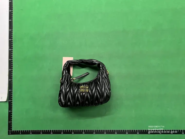 Miu Miu Bag QC photo 17
