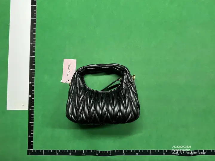 Miu Miu Bag QC photo 19