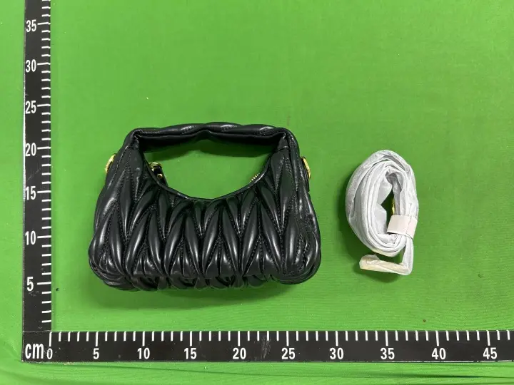 Miu Miu Bag QC photo 2