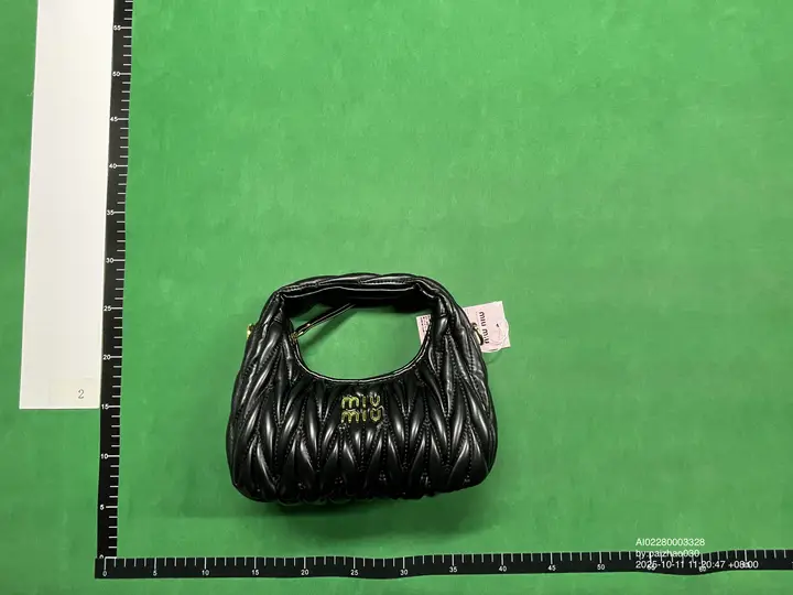 Miu Miu Bag QC photo 20