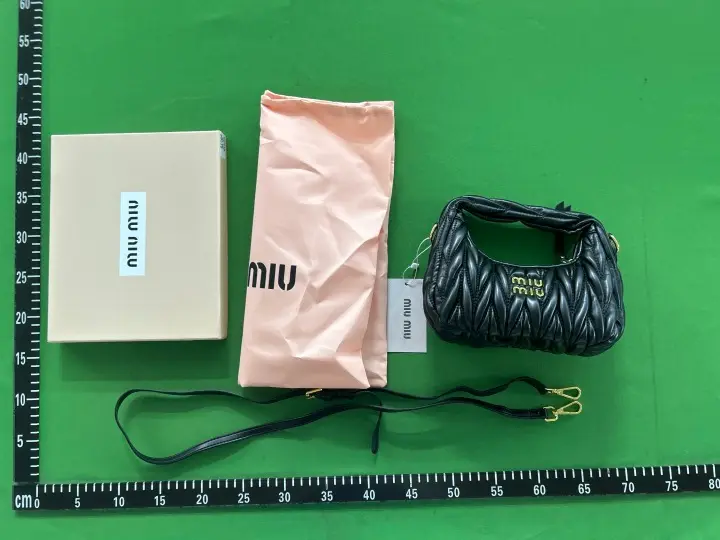 Miu Miu Bag QC photo 4
