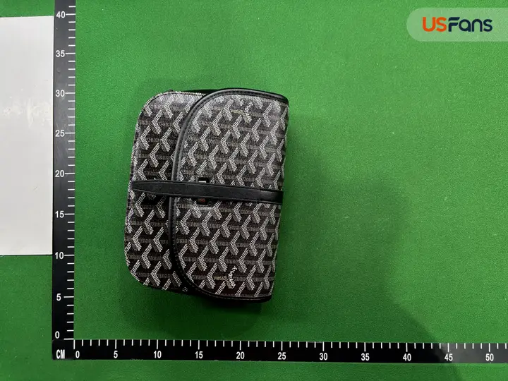 Goyard Bag QC photo 1