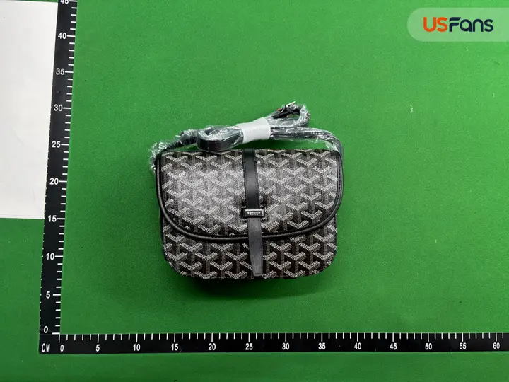 Goyard Bag QC photo 10