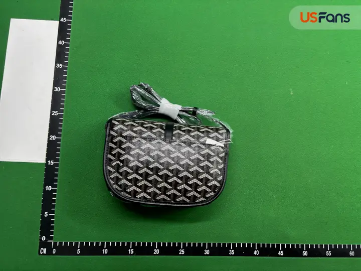 Goyard Bag QC photo 11