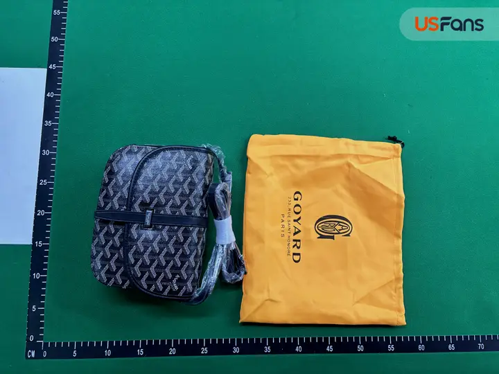 Goyard Bag QC photo 12