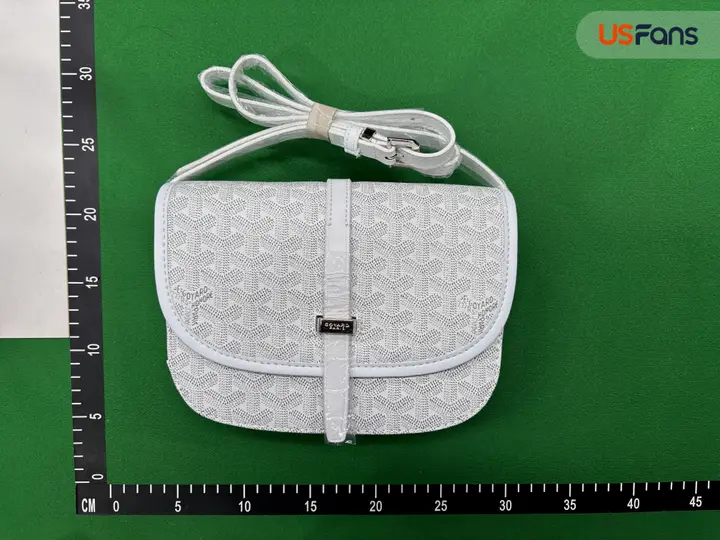 Goyard Bag QC photo 13