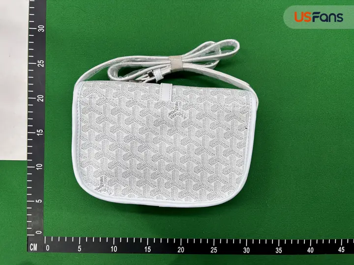 Goyard Bag QC photo 14