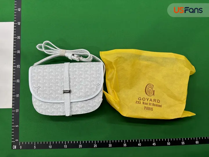 Goyard Bag QC photo 15