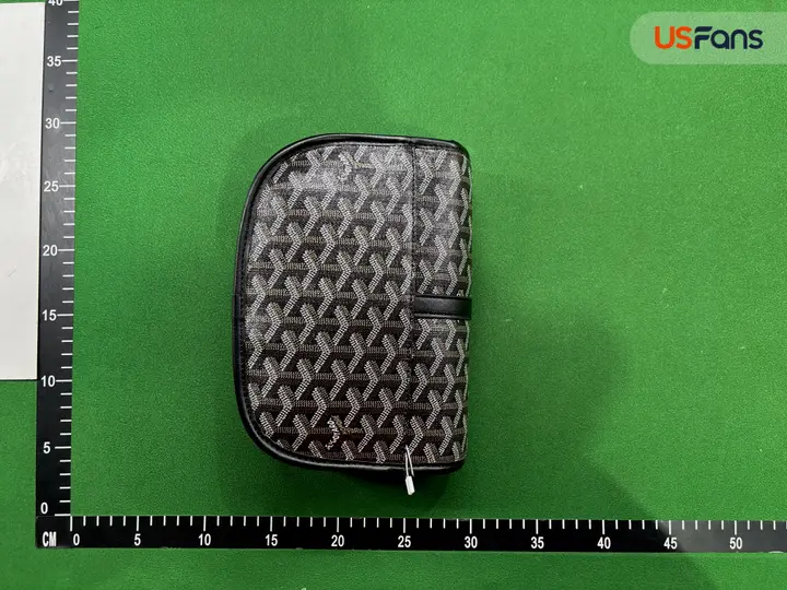 Goyard Bag QC photo 2