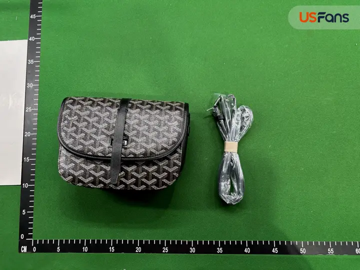 Goyard Bag QC photo 3