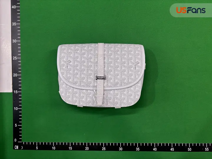 Goyard Bag QC photo 4