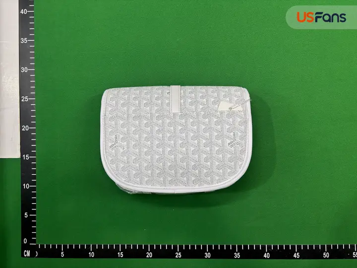 Goyard Bag QC photo 5