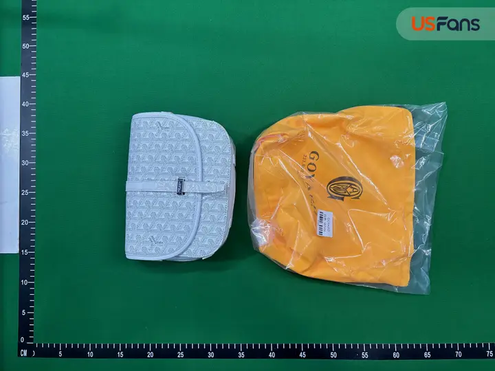 Goyard Bag QC photo 6