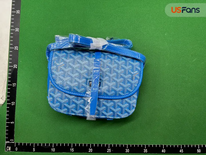 Goyard Bag QC photo 7