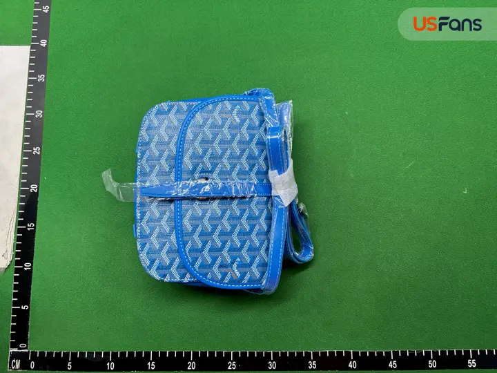 Goyard Bag QC photo 9