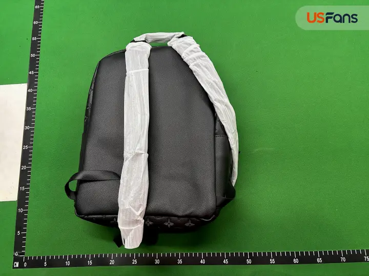 LV Backpack QC photo 9