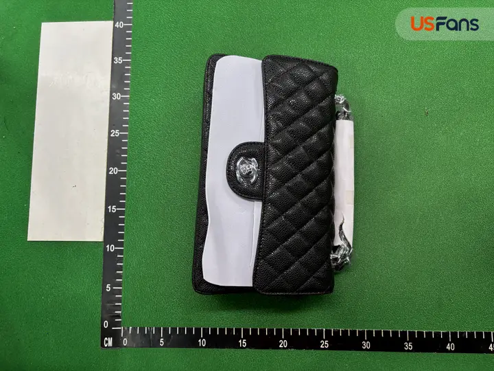 Chanel Bag QC photo 20