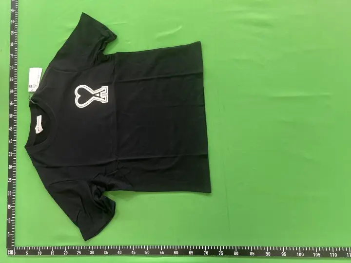 Ami Paris T-Shirts With Big Logo QC photo 11