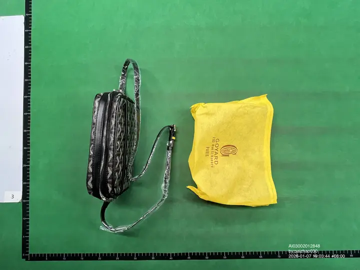 Goyard Bag QC photo 4