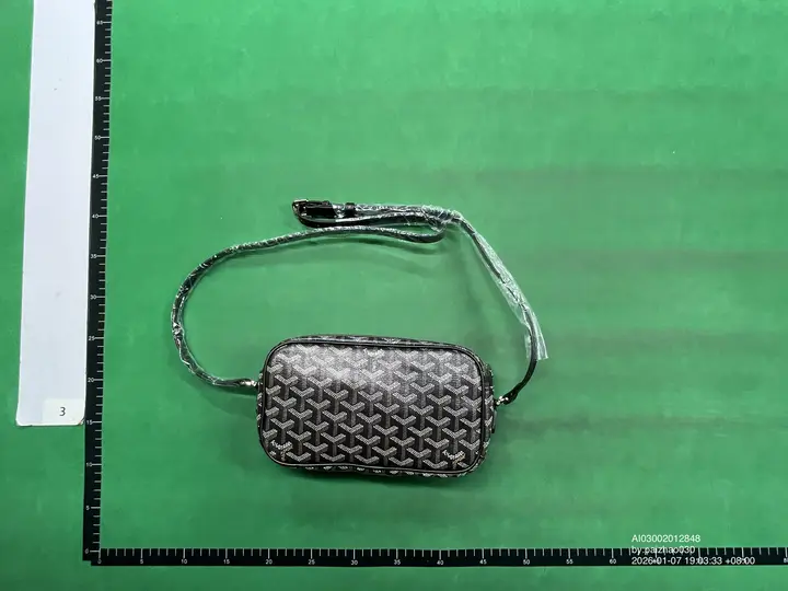 Goyard Bag QC photo 5