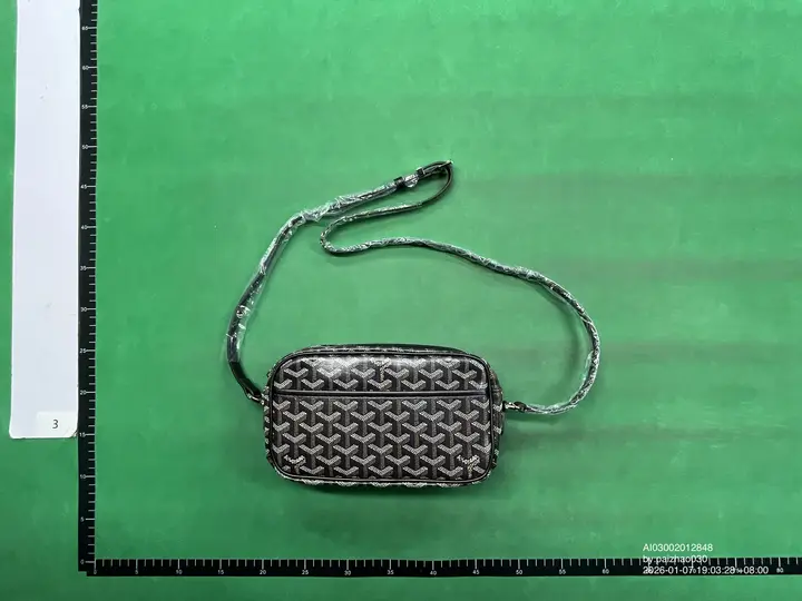 Goyard Bag QC photo 6