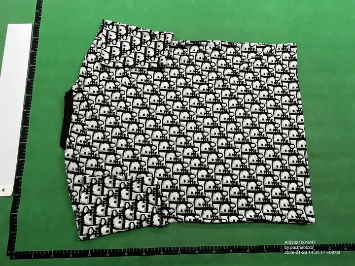 Dior Towel Oblique T-Shirt QC photo 6