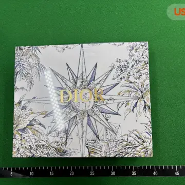DIOR Saddle QC photo