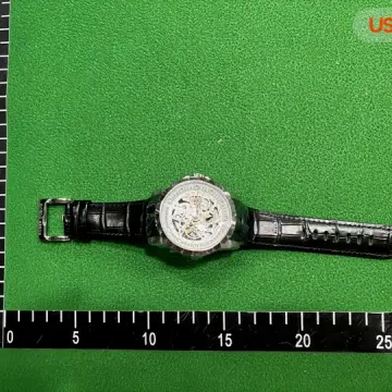 Roger Dubuis Skeleton Watch QC photo